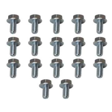 Picture of Moroso 4L60-4L60E-200R4-700R4 Transmission Pan Bolts - Set of 17