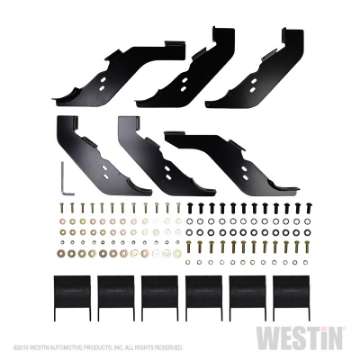 Picture of Westin 19-21 Ford Ranger SuperCrew PRO TRAXX 5 Oval Nerf Step Bars - SS