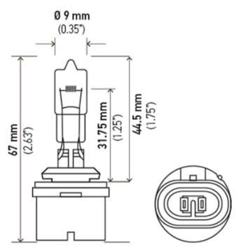 Picture of Hella Bulb 892 12V 16W Pg13 T325