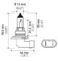 Picture of Hella Bulb 9006 12V 55W P22D T4 +50