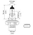 Picture of Hella Bulb H13 12V 60-55W P264T T4