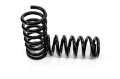 Picture of UMI Performance 70-81 GM F-Body Lowering Spring Front 2in Lowering