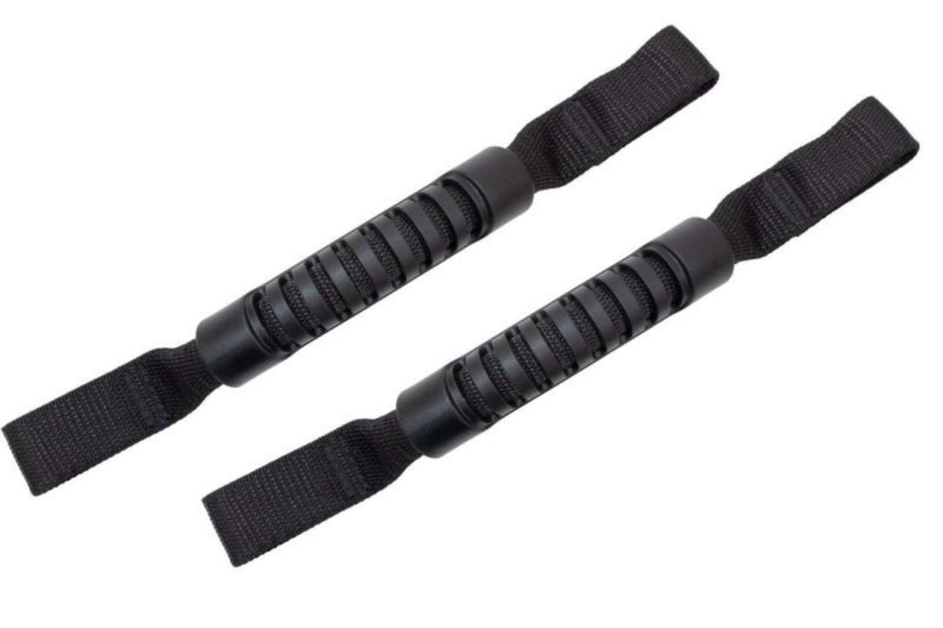 Picture of Fishbone Offroad Grab Handles for Head Rest