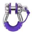 Picture of Daystar Fluorescent Purple D Ring Isolator w-Lock Washer Kit