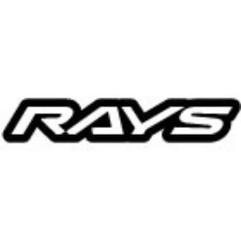 Picture for manufacturer Rays