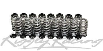 Picture of 4g63 Valve Spring Set - Race Only Beehive