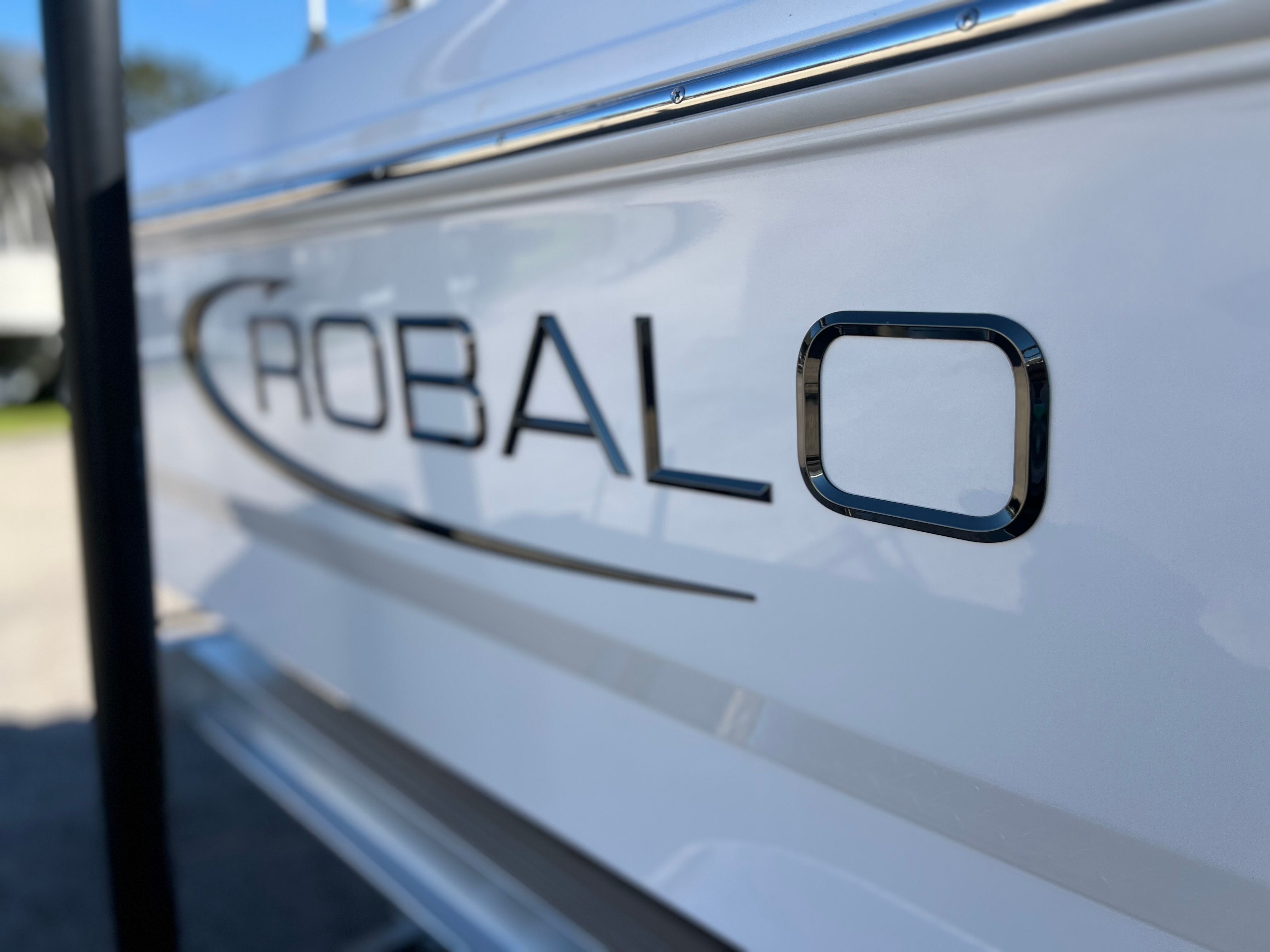 2025 Robalo 206 Cayman STD - Photo 10