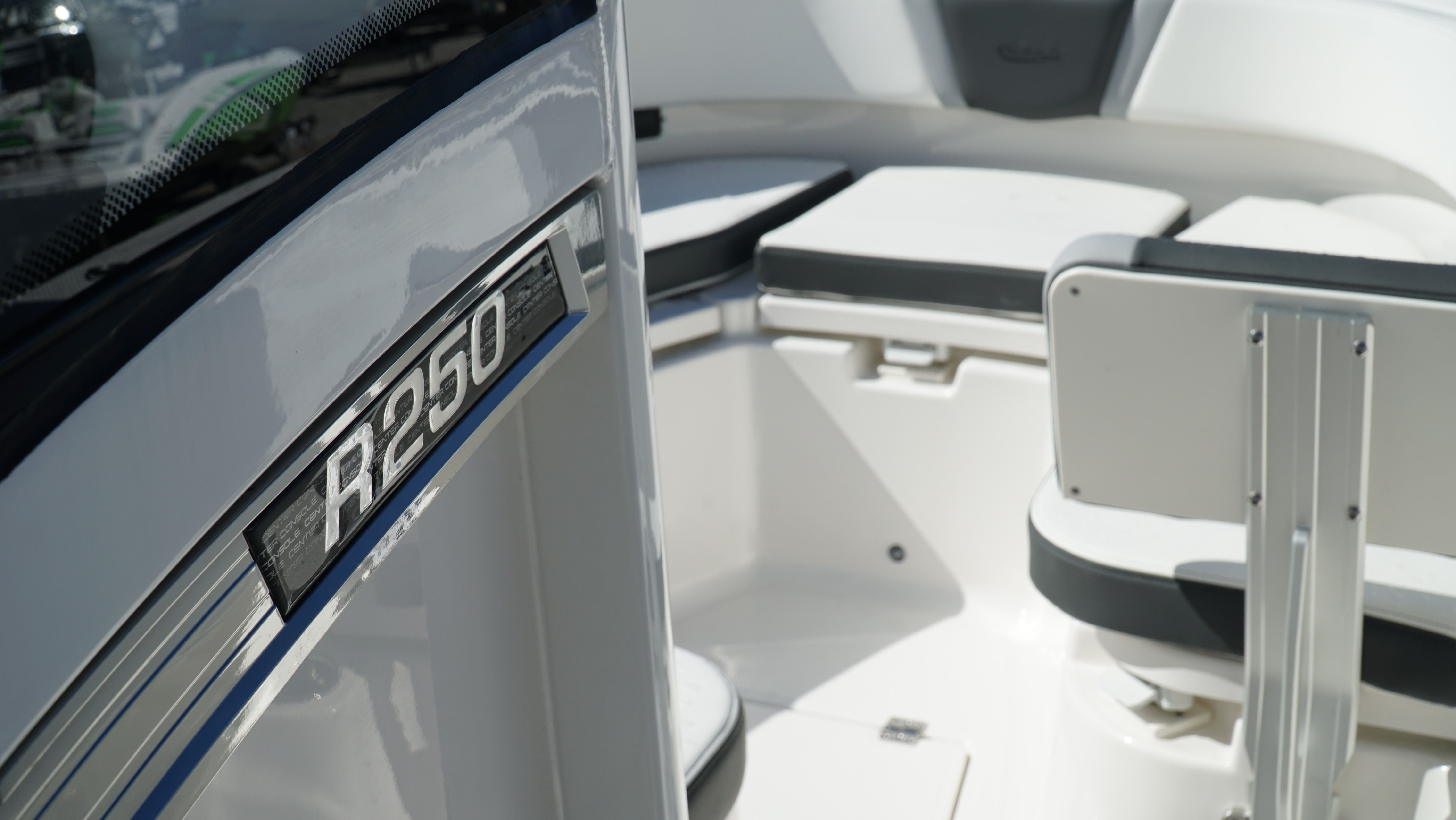 2025 Robalo 250 CC — photo 27 view