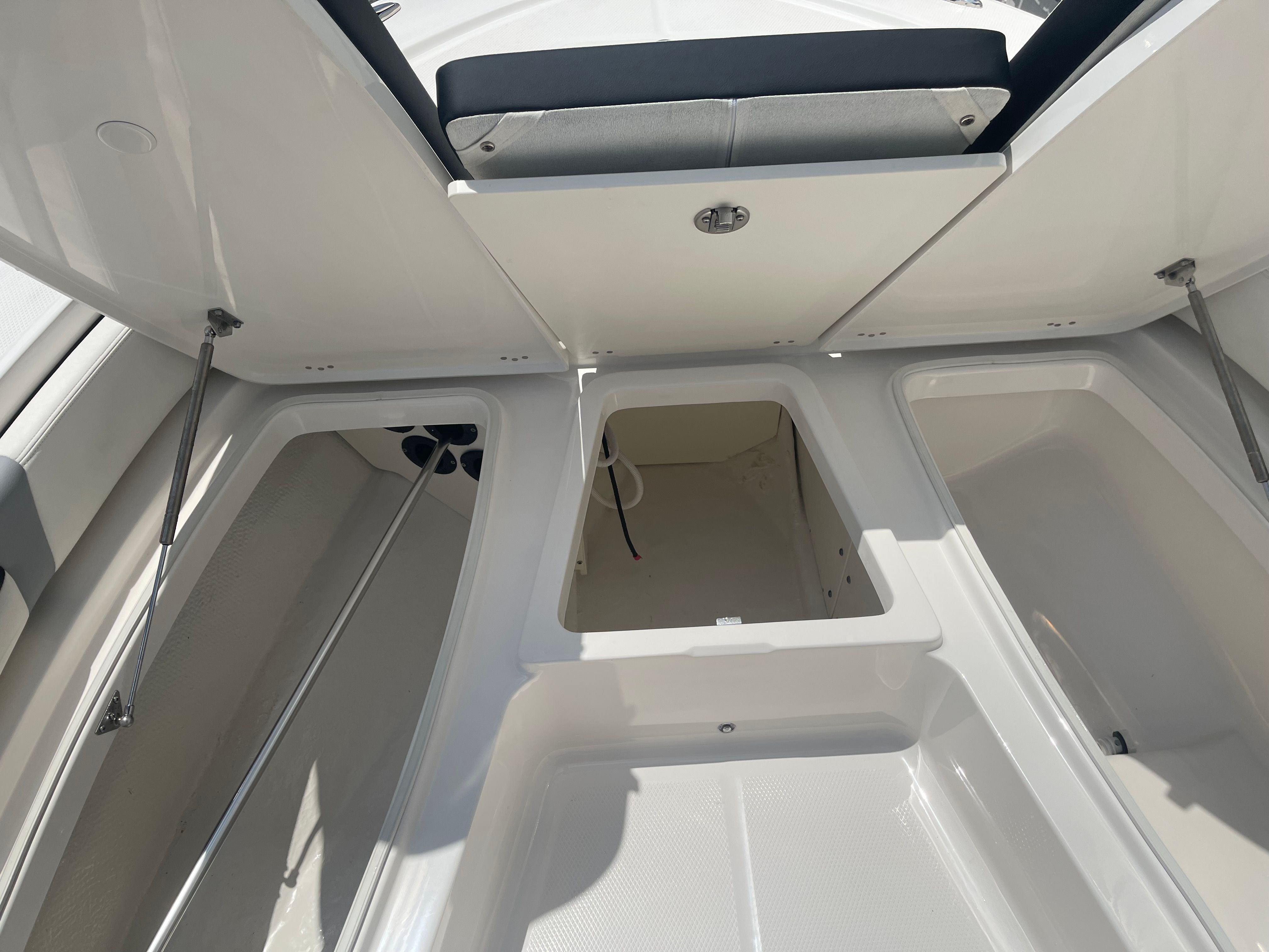 2025 Robalo 206 Cayman DLX - Photo 10