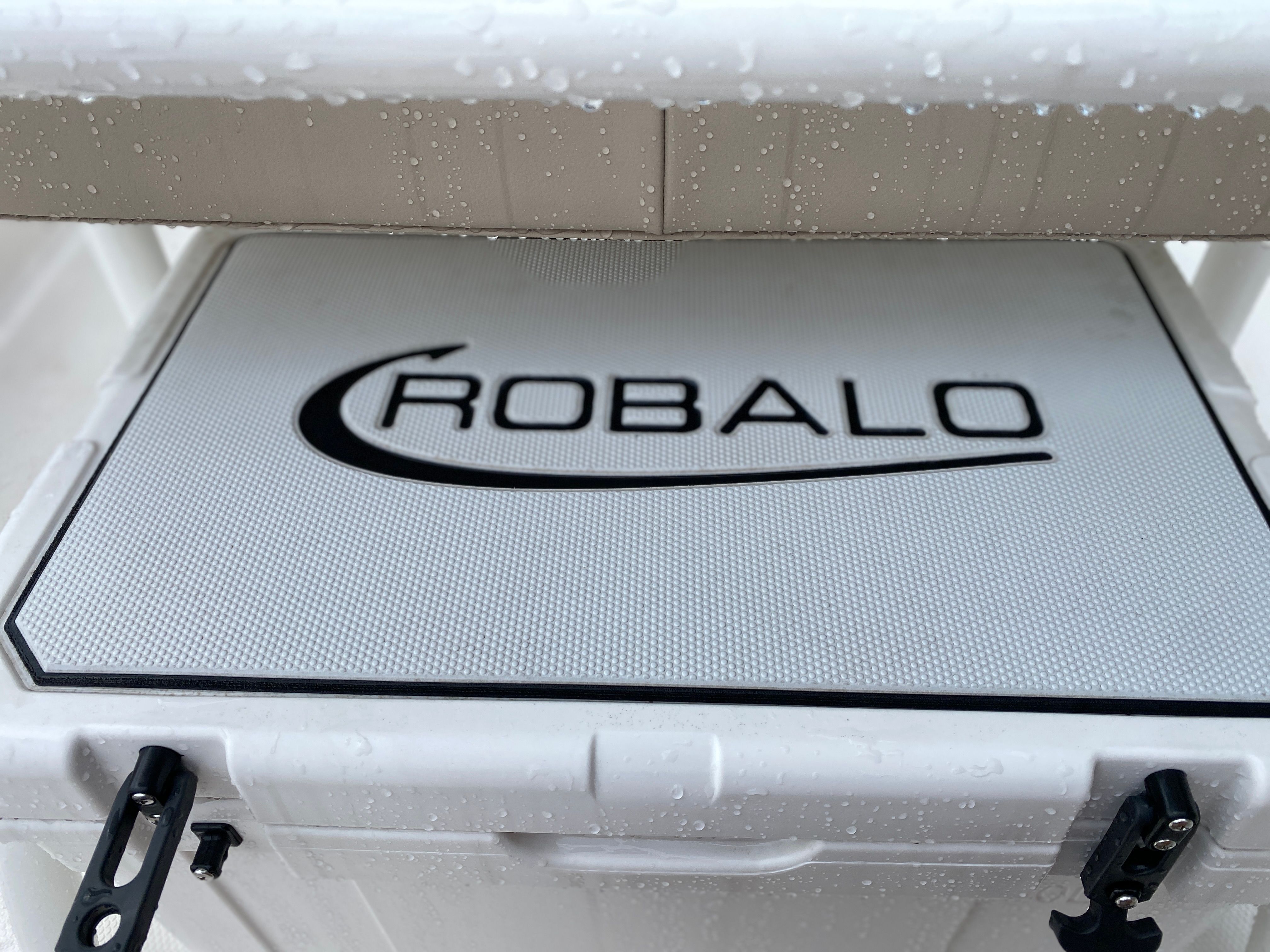 2025 Robalo 206 Cayman DLX — photo 9 view