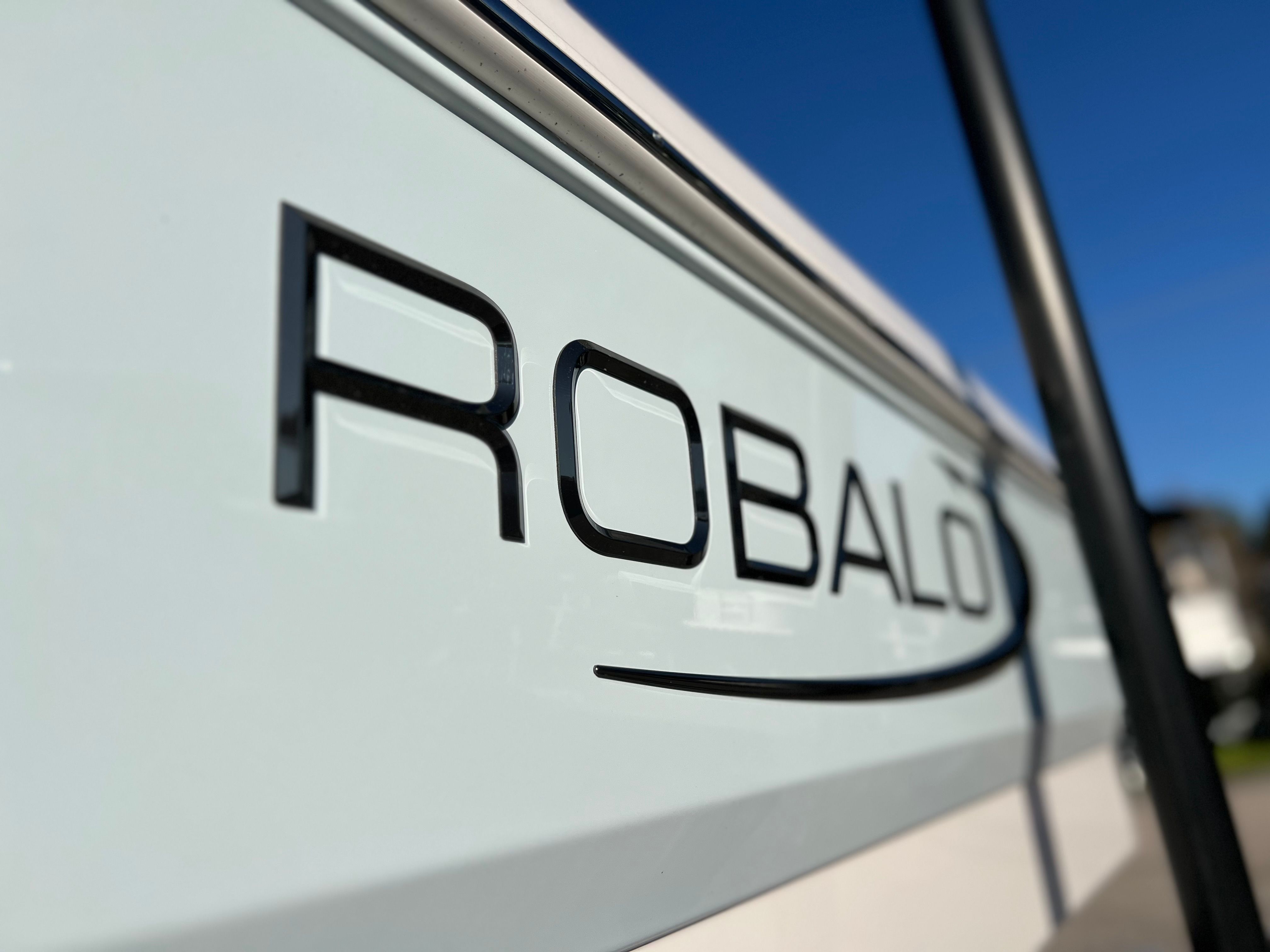 2025 Robalo 206 Cayman DLX - Photo 12