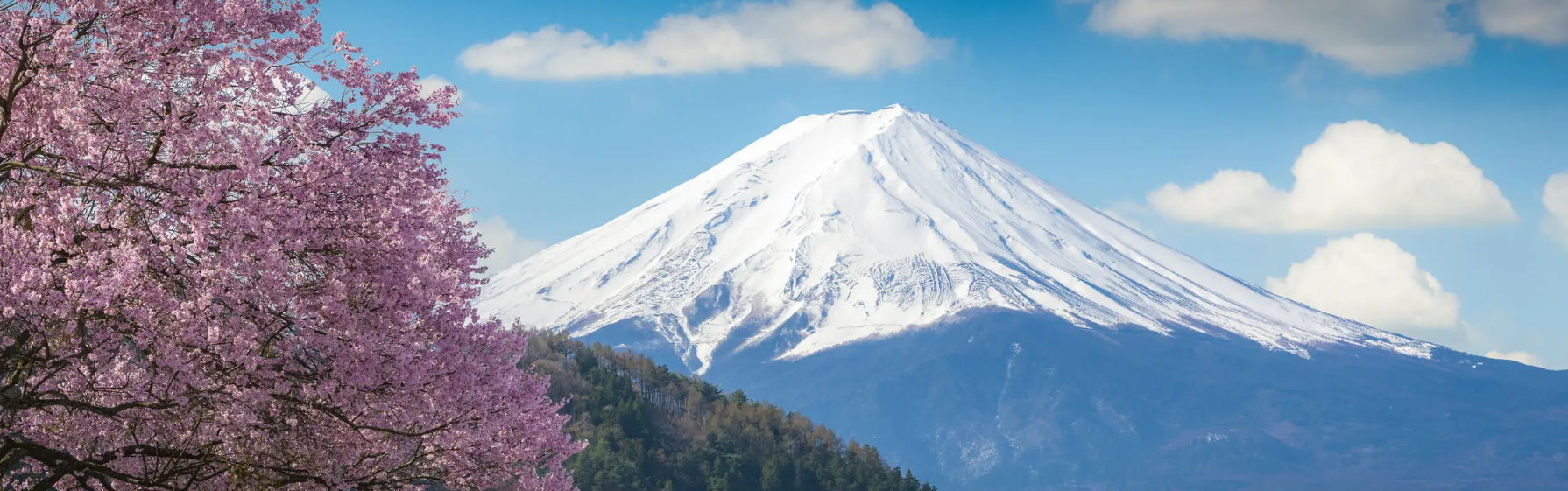 Visit Japan : Four seasons. Endless wonders. One unforgettable story