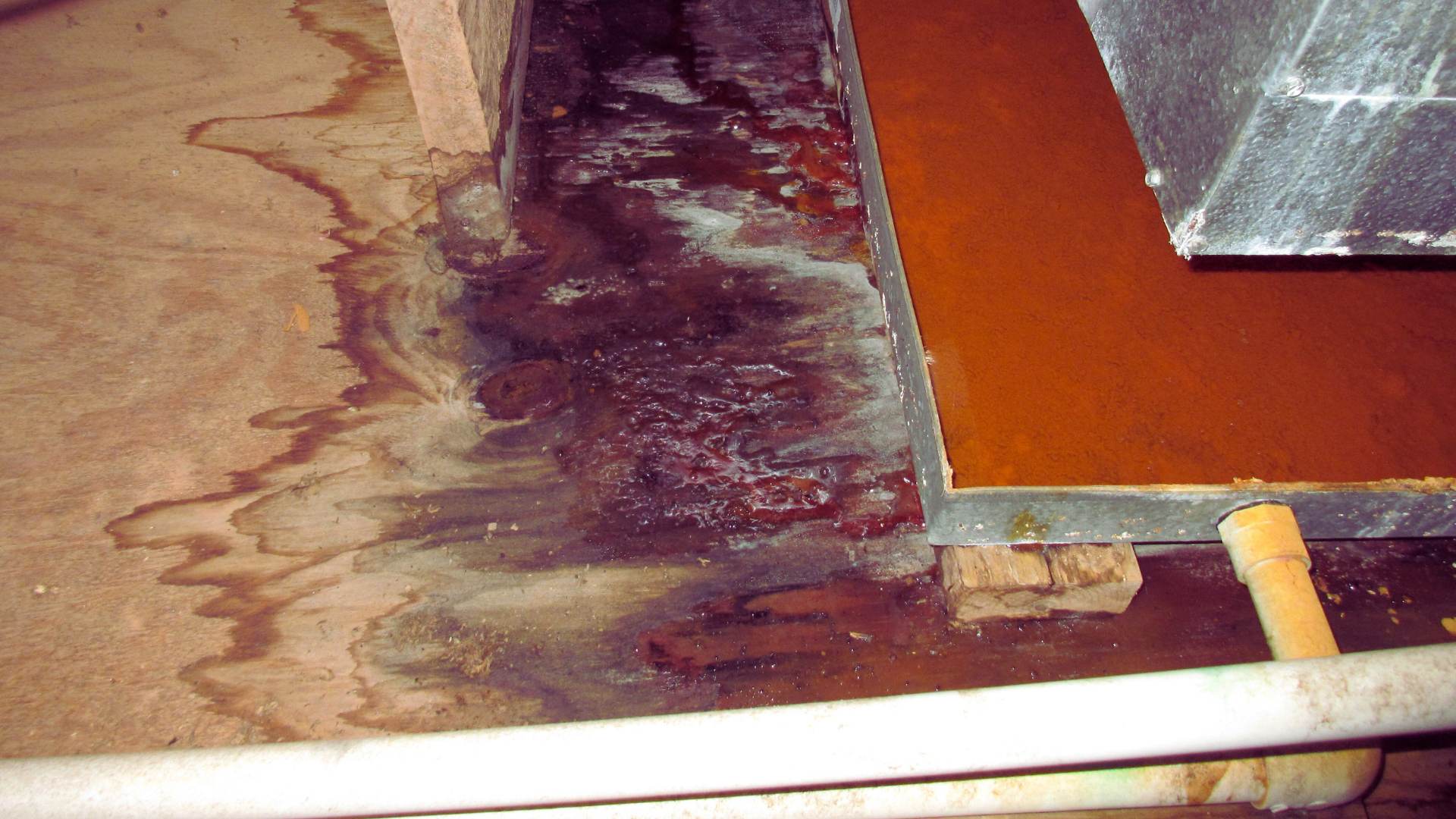 Bathroom and Kitchen Mold Removal in Brookings, OR
