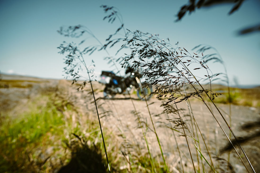 Vom Winde verweht - Fabrizio Vesentini
