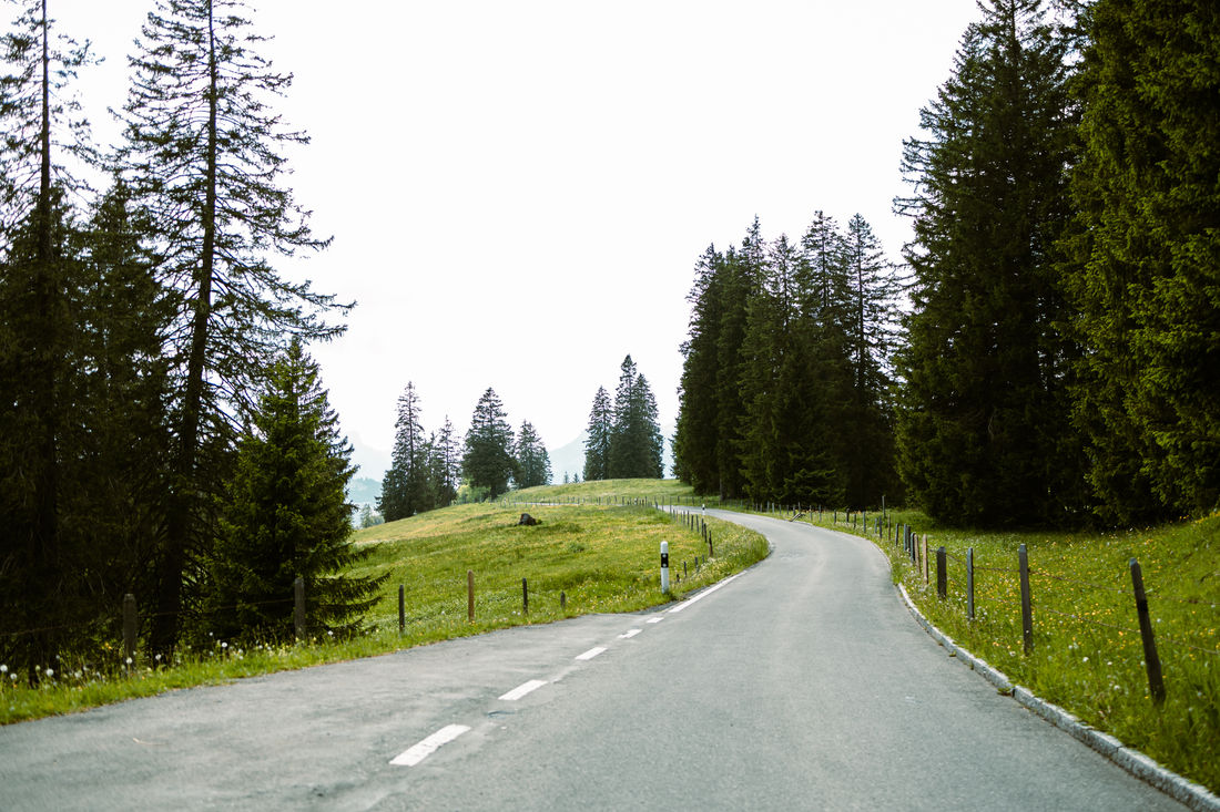 Da viele der Strecken noch unter der Baumgrenze liegen, bieten sich einzigartige Anblicke, während man auf dem Bike durch die bewaldeten Gebiete kurvt. (Foto: Franco Restelli)