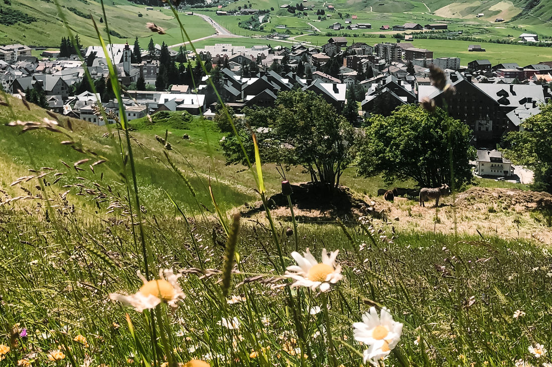 Die Passstrasse verbindet die Gemeinden Andermatt und Sedrun. (Foto: Rado Mihajlovic) Die Passstrasse verbindet die Gemeinden Andermatt und Sedrun. (Foto: Rado Mihajlovic)