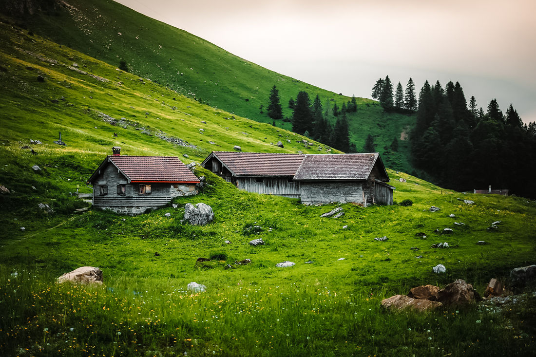 Eine wunderschöne Landschaft umgibt die einfach zu fahrende Strasse zum Fusse des Säntis. (Foto: Jeremy Albrecht) Eine wunderschöne Landschaft umgibt die einfach zu fahrende Strasse zum Fusse des Säntis. (Foto: Jeremy Albrecht)