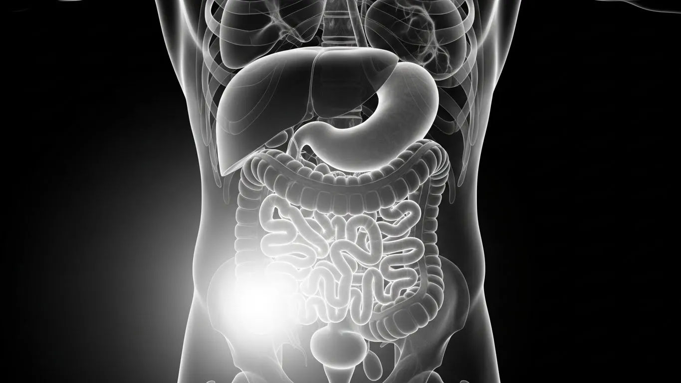 lower left belly pain