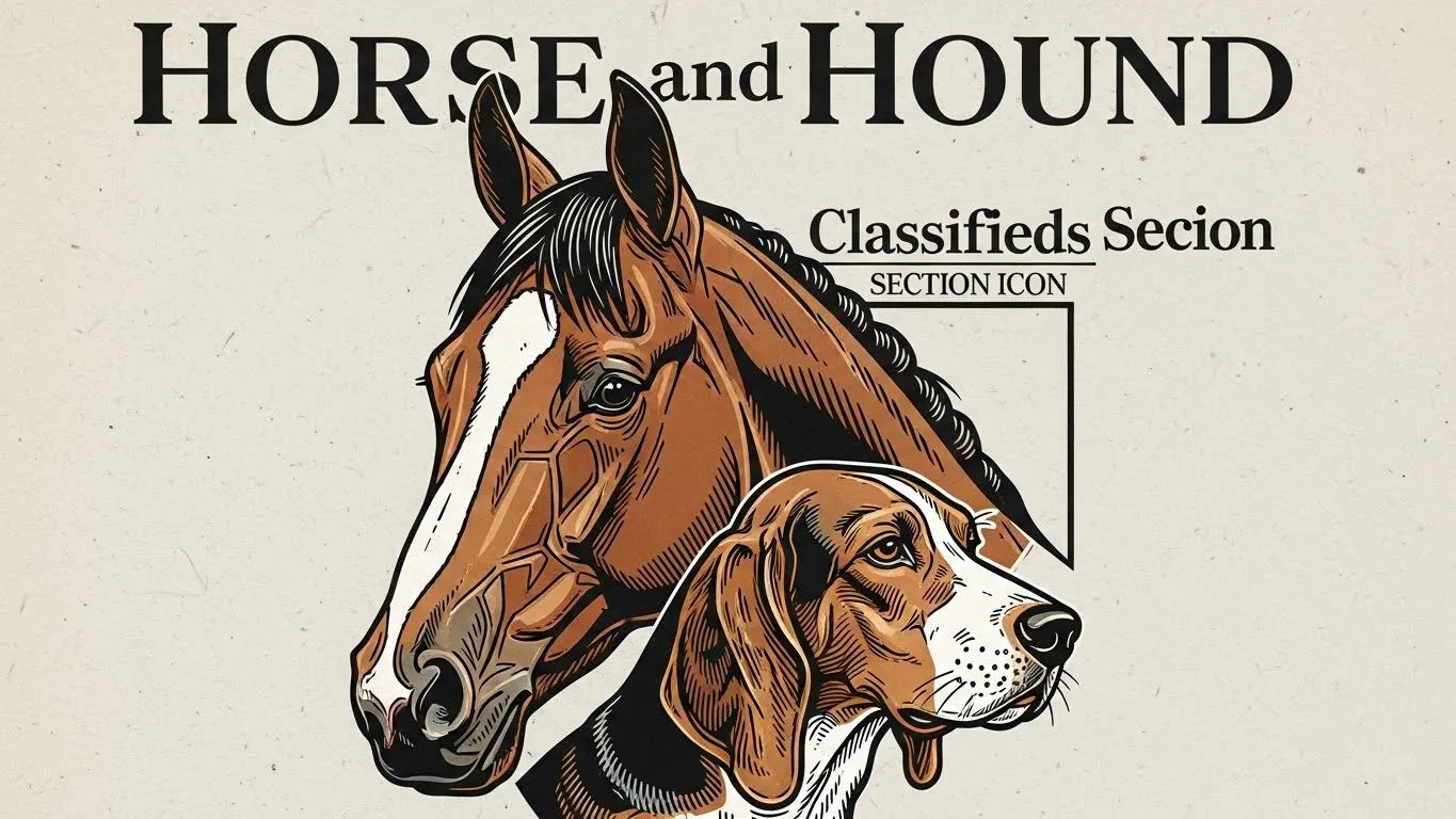 Tiny Horse for Sale Adorable Miniature Breeds Tiny Horse for Sale Adorable Miniature Breeds