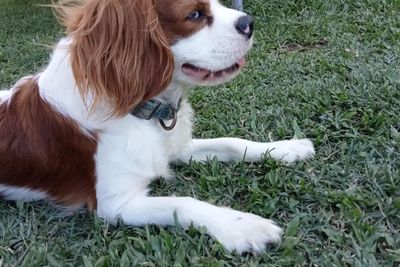 Rusty