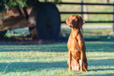 Fable