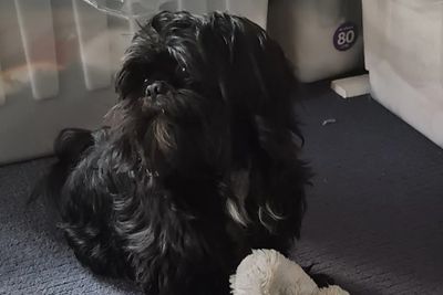 Arlo
