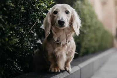 Winnie