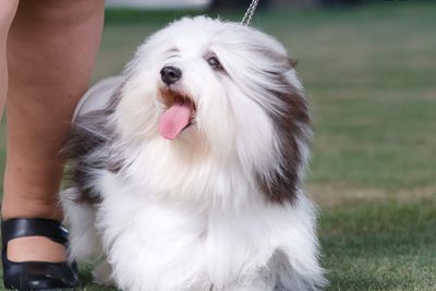 Precious