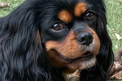 Maggie 