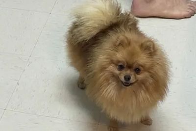 Winnie 