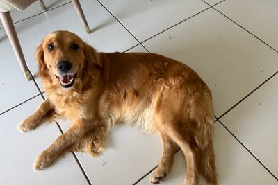 Rosie