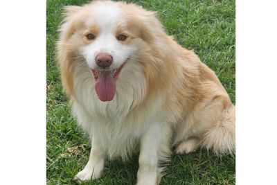 Duke