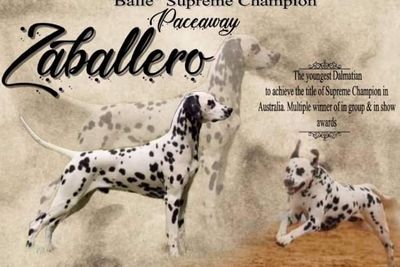 Balle