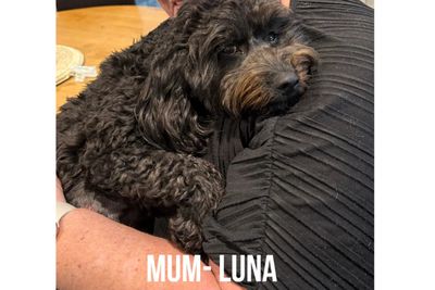 Luna