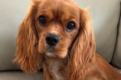 Zoe