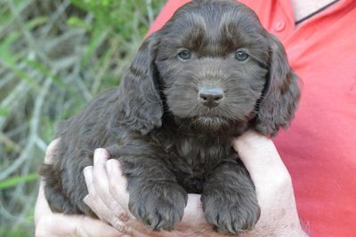 Boy 1 - Still available
