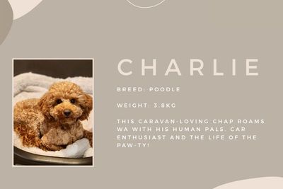 Charlie