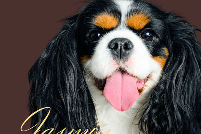 Jasmin 