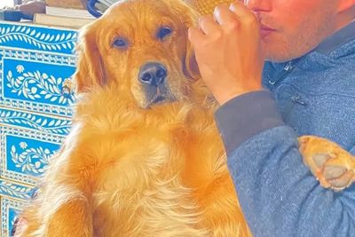 Hazel