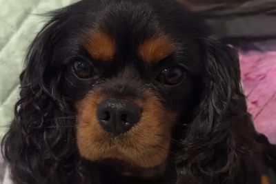 Diego