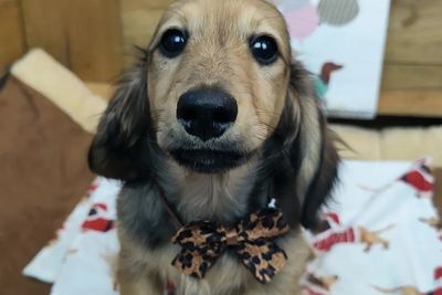 Boy4 Ben