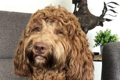 Maggie 