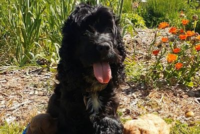 Winnie