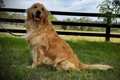 Murphy 