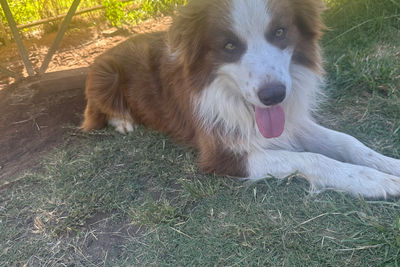 Zeus