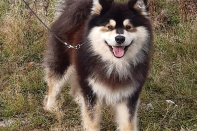 Moska