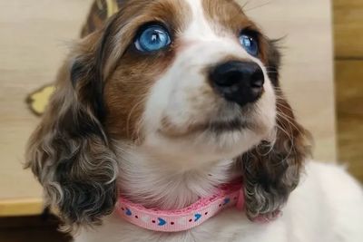 Girl 2