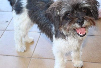 Ruffy