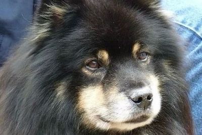 Jukka
