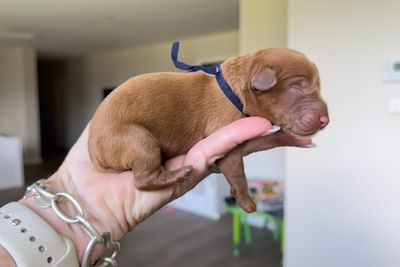 Navy collar boy